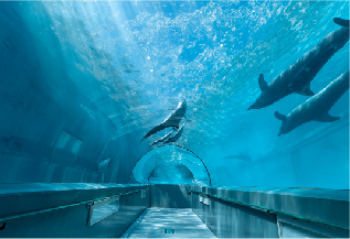 海洋水族館（マリナリュウム）